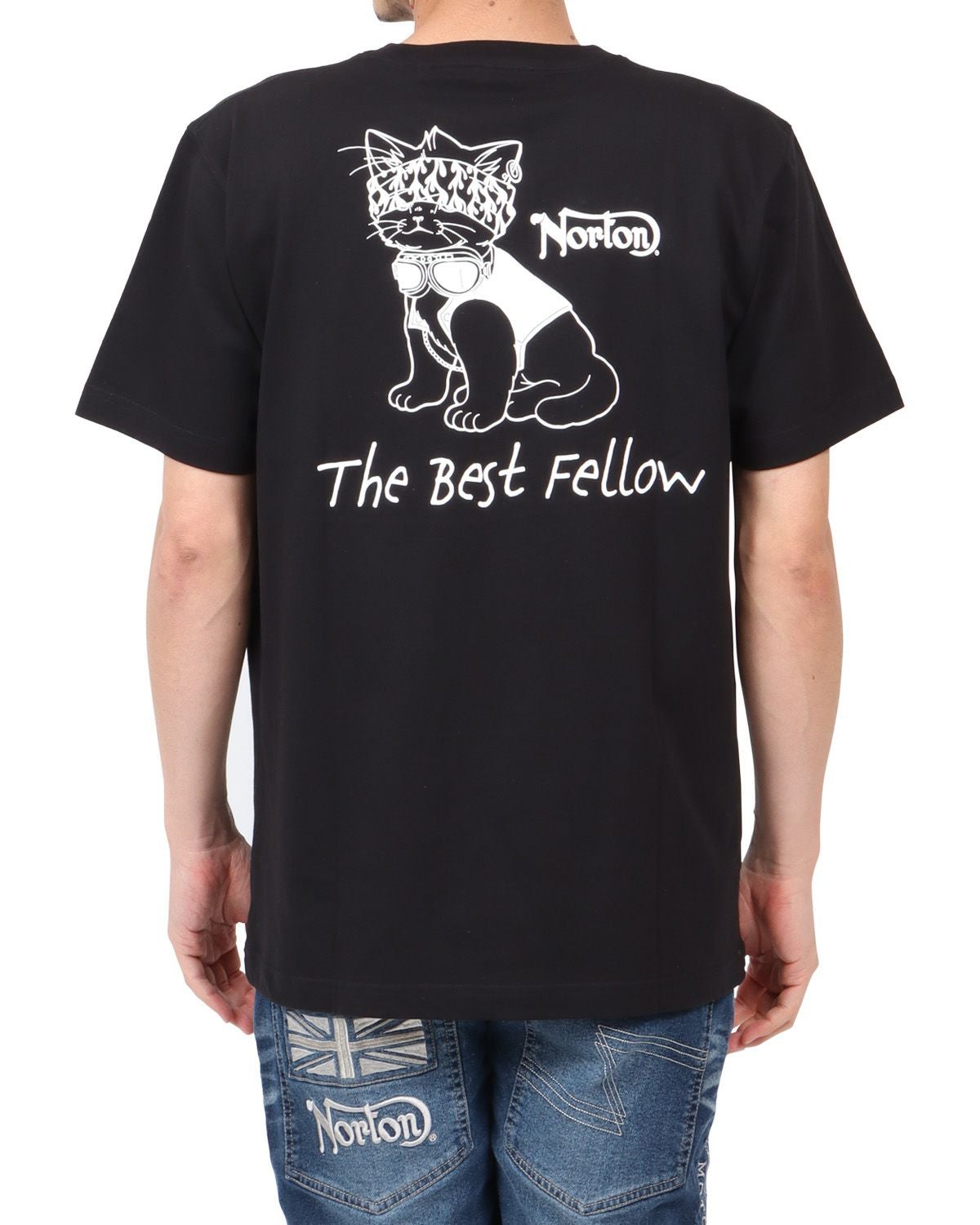 Norton] JAPAN加工 パンクキャット Tシャツ | PEET ONLINE STORE