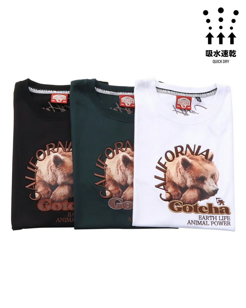 カラーバリエーション