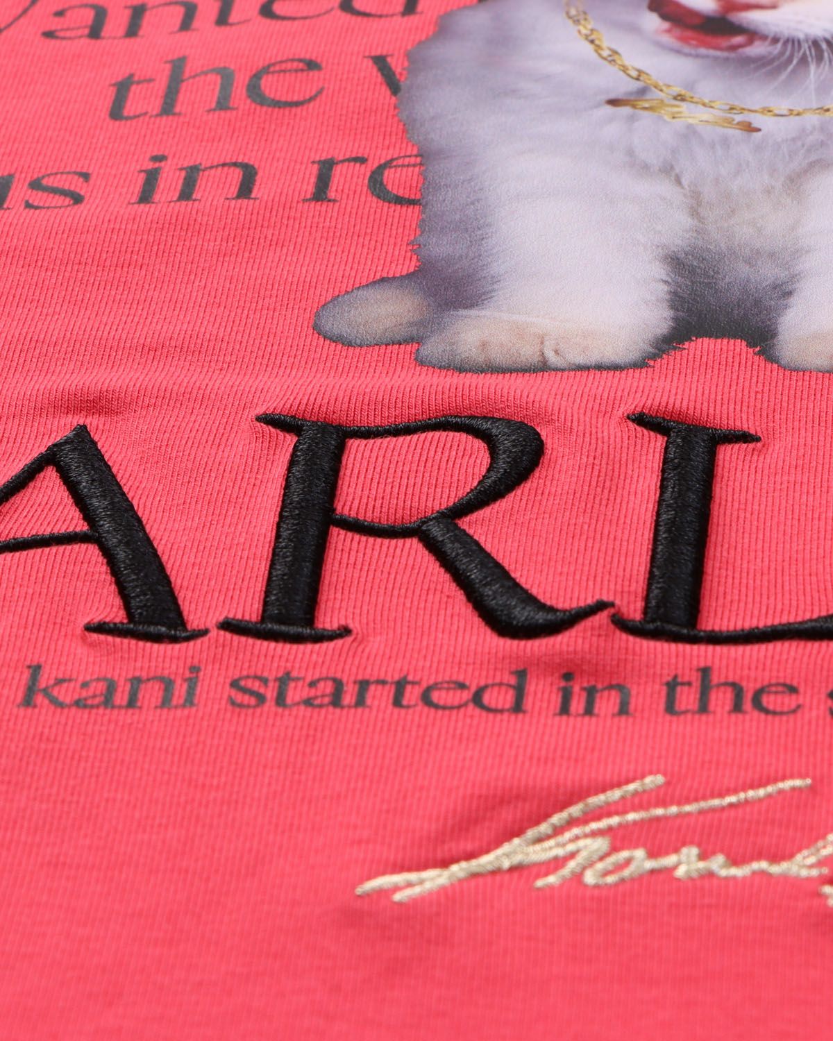 Karl Kani] ファンキーキャット ロンT | PEET ONLINE STORE