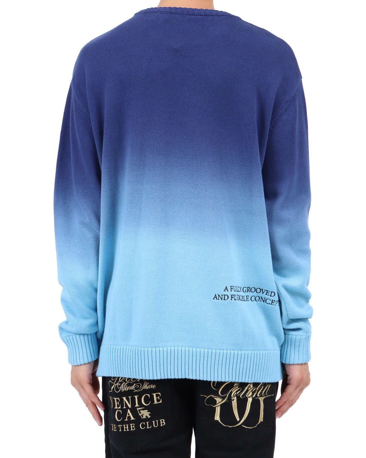 ブルー：174cm62kg(Lサイズ着用)