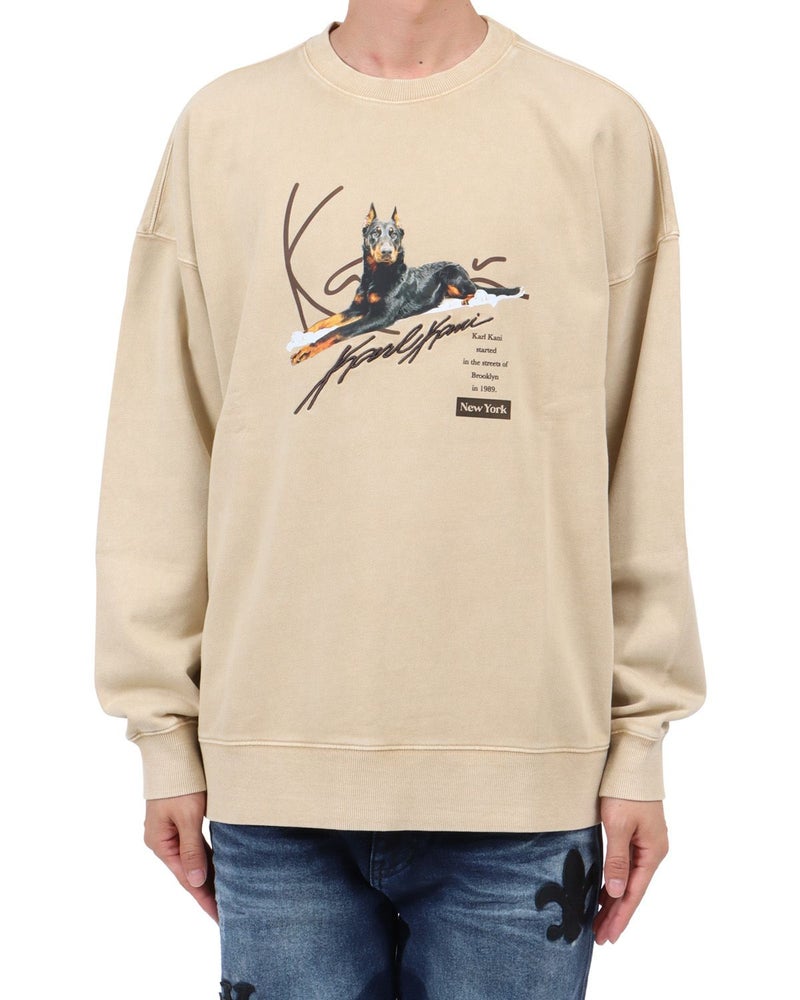 ベージュ：174cm62kg(Lサイズ着用)