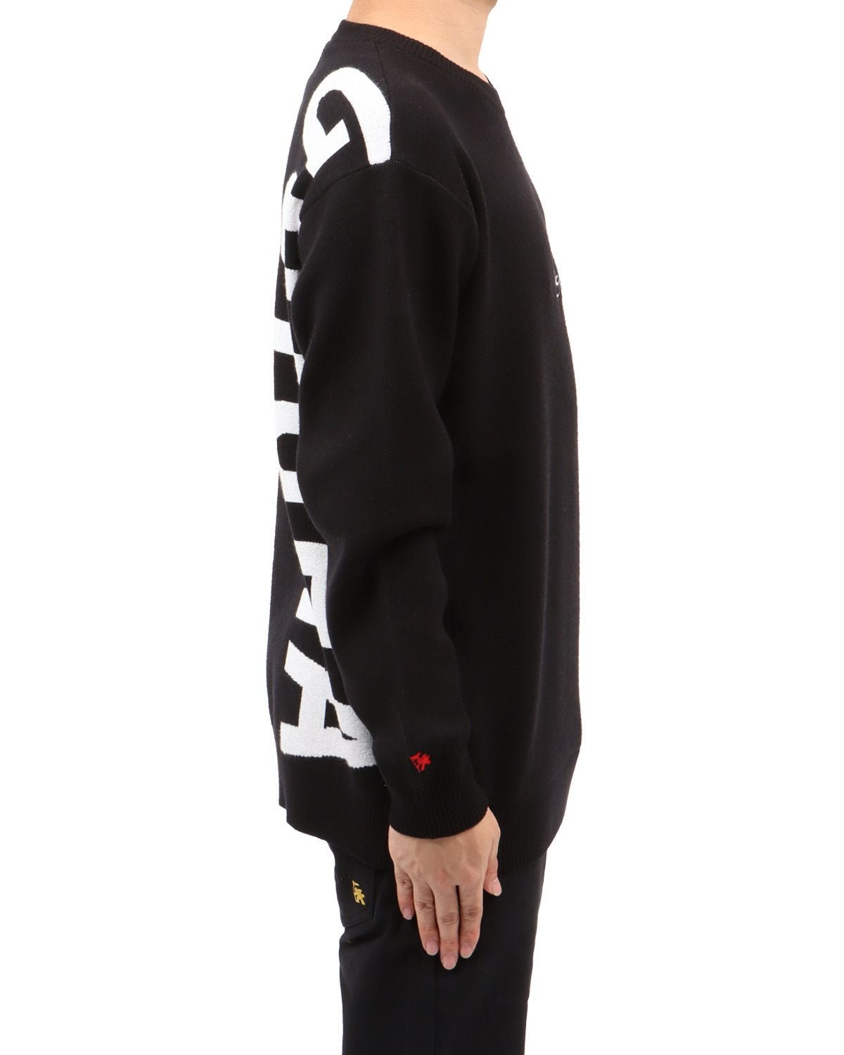 ブラック：173cm63kg(Lサイズ着用)