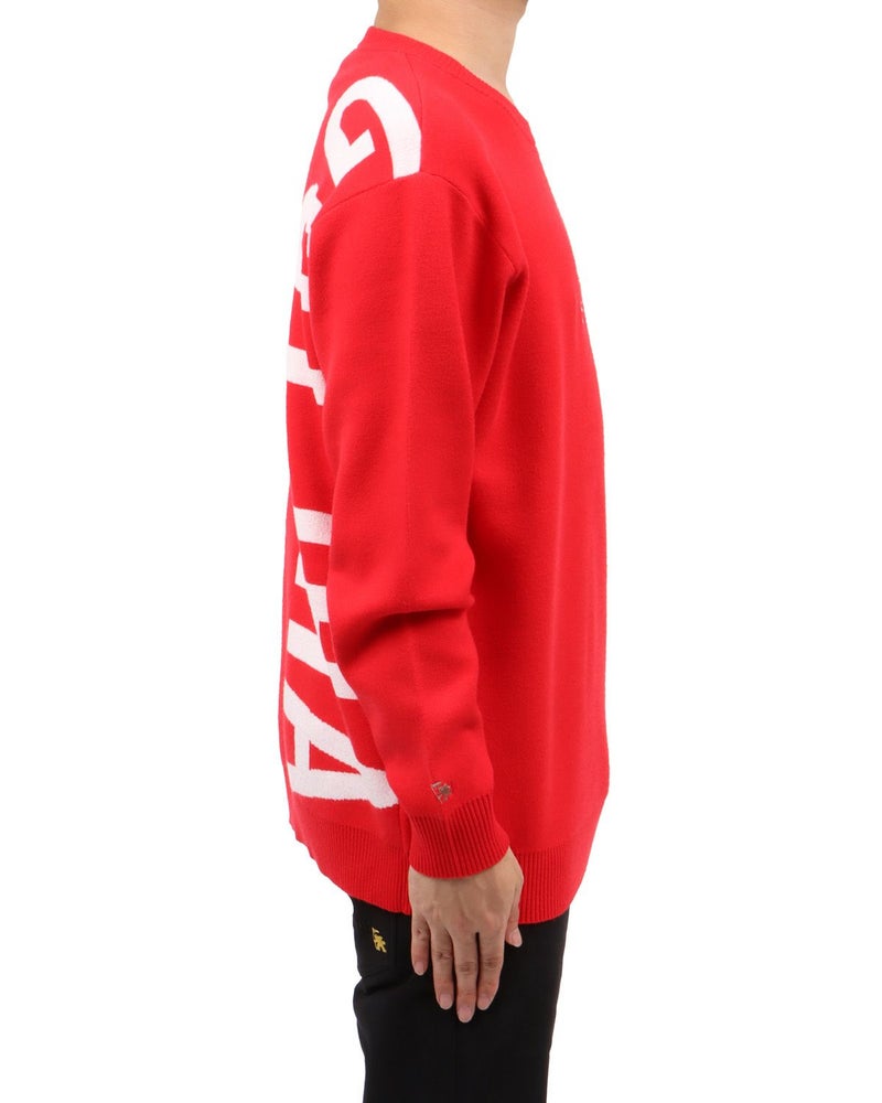 レッド：173cm63kg(Lサイズ着用)