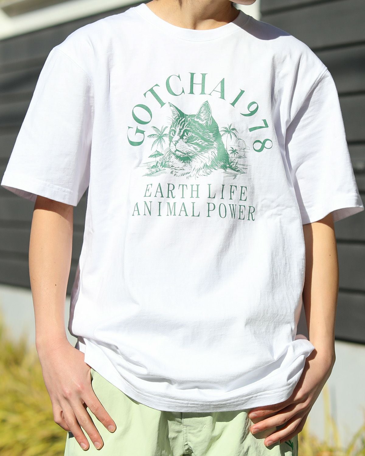 ホワイト×メインクーン：168cm/56kg(XXLサイズ着用）