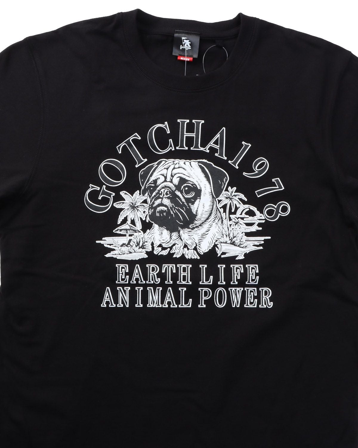 アイテムイメージ