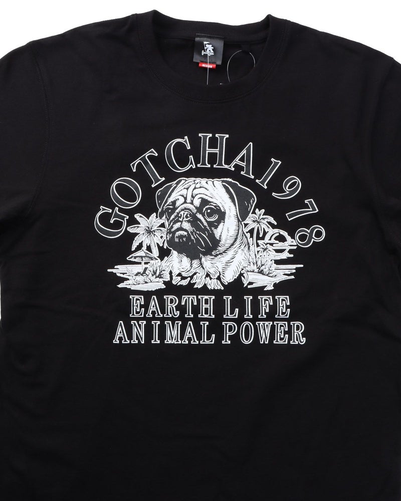 アイテムイメージ