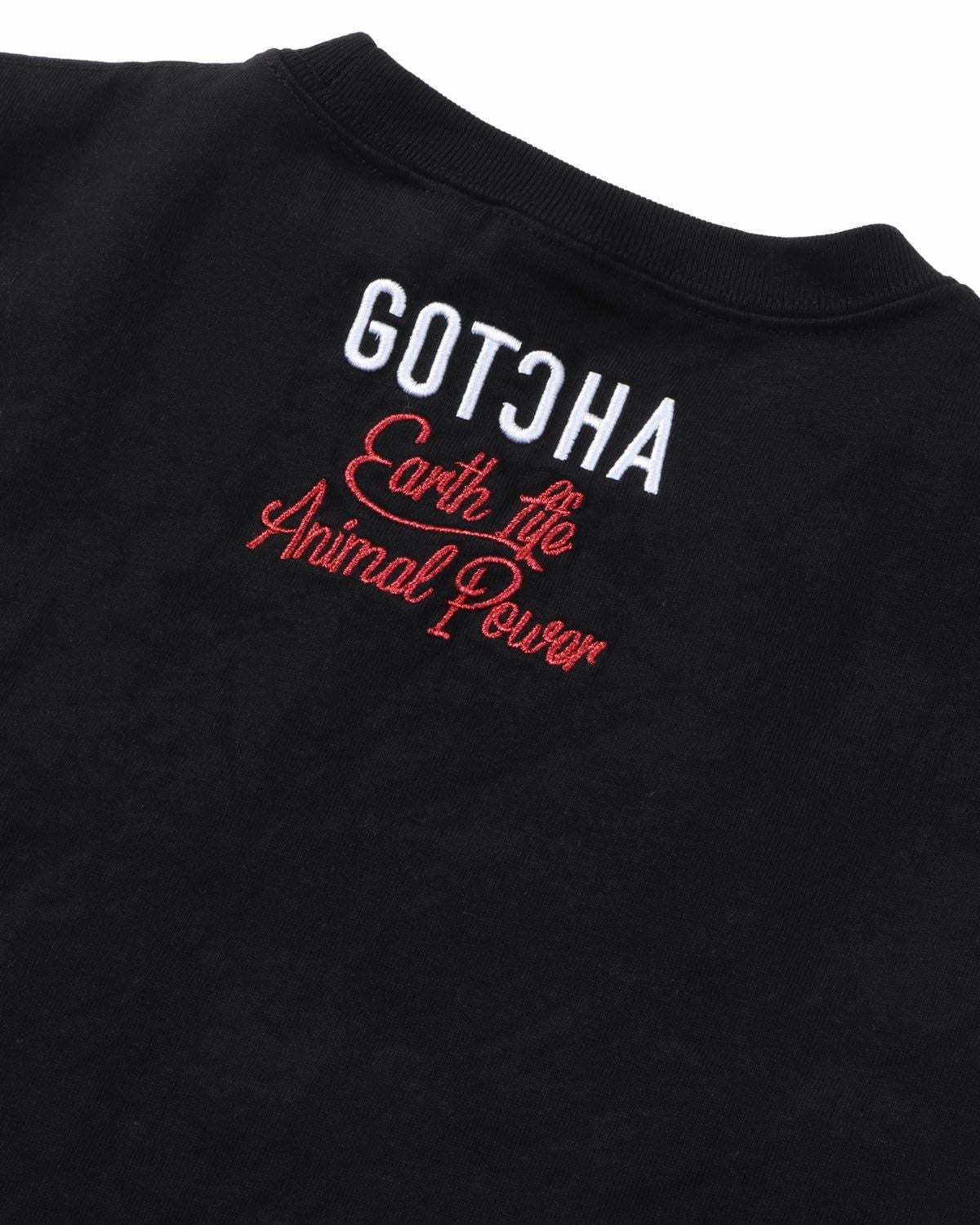 アイテムイメージ