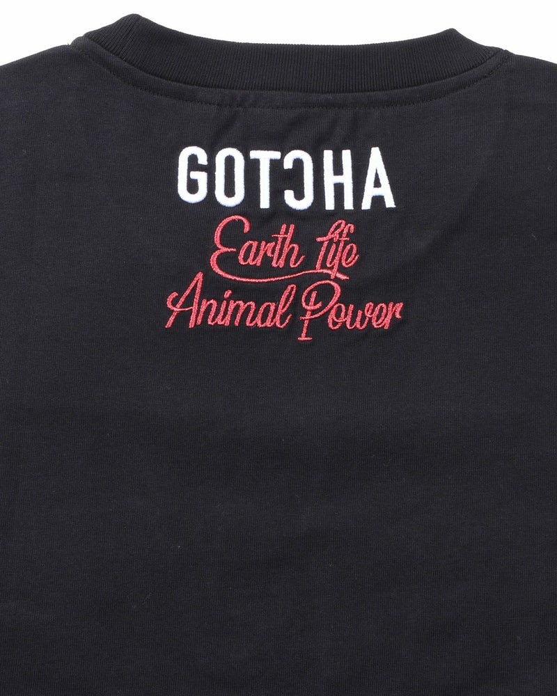 アイテムイメージ