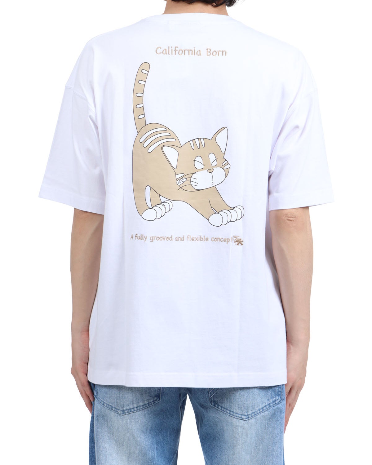 ベージュ：173cm63kg(Lサイズ着用)