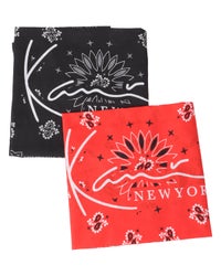 カラーバリエーション