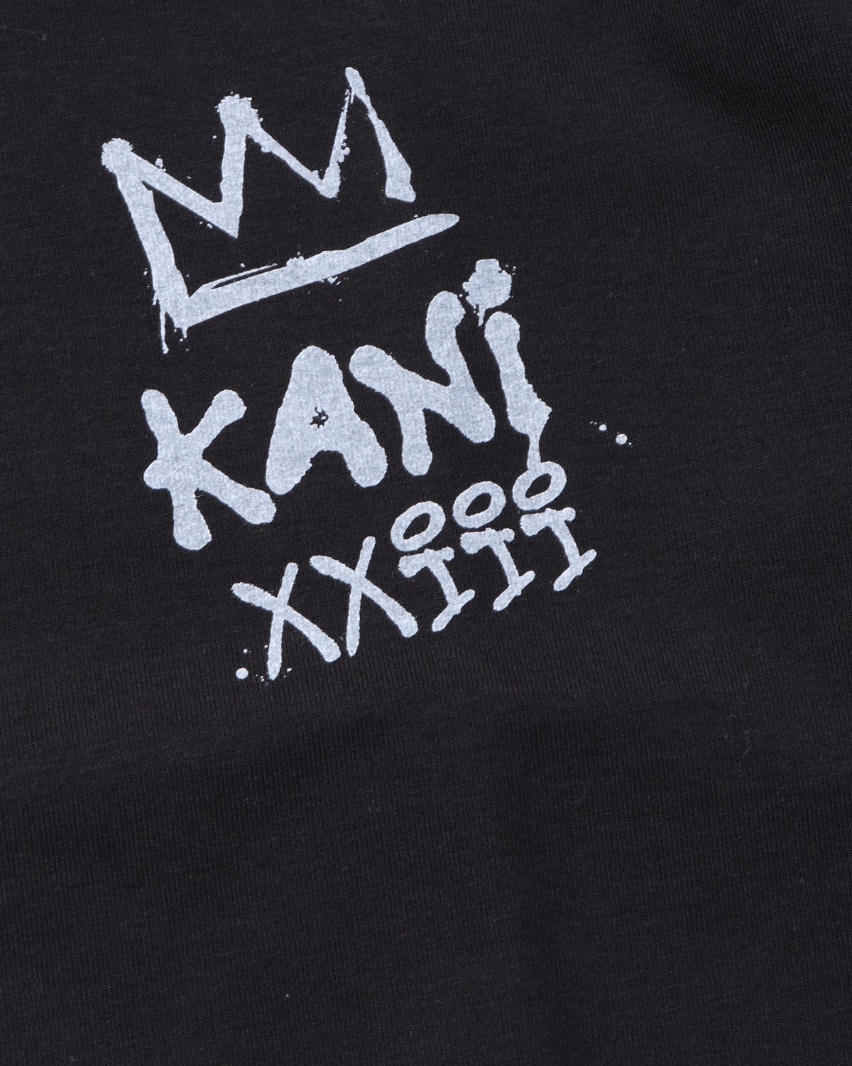 Karl Kani] 接触冷感 BROOKLYN BRIDGE T | PEET ONLINE STORE